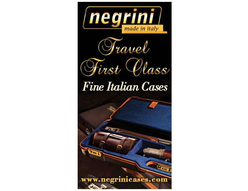 Negrini Cases Web banner Ads